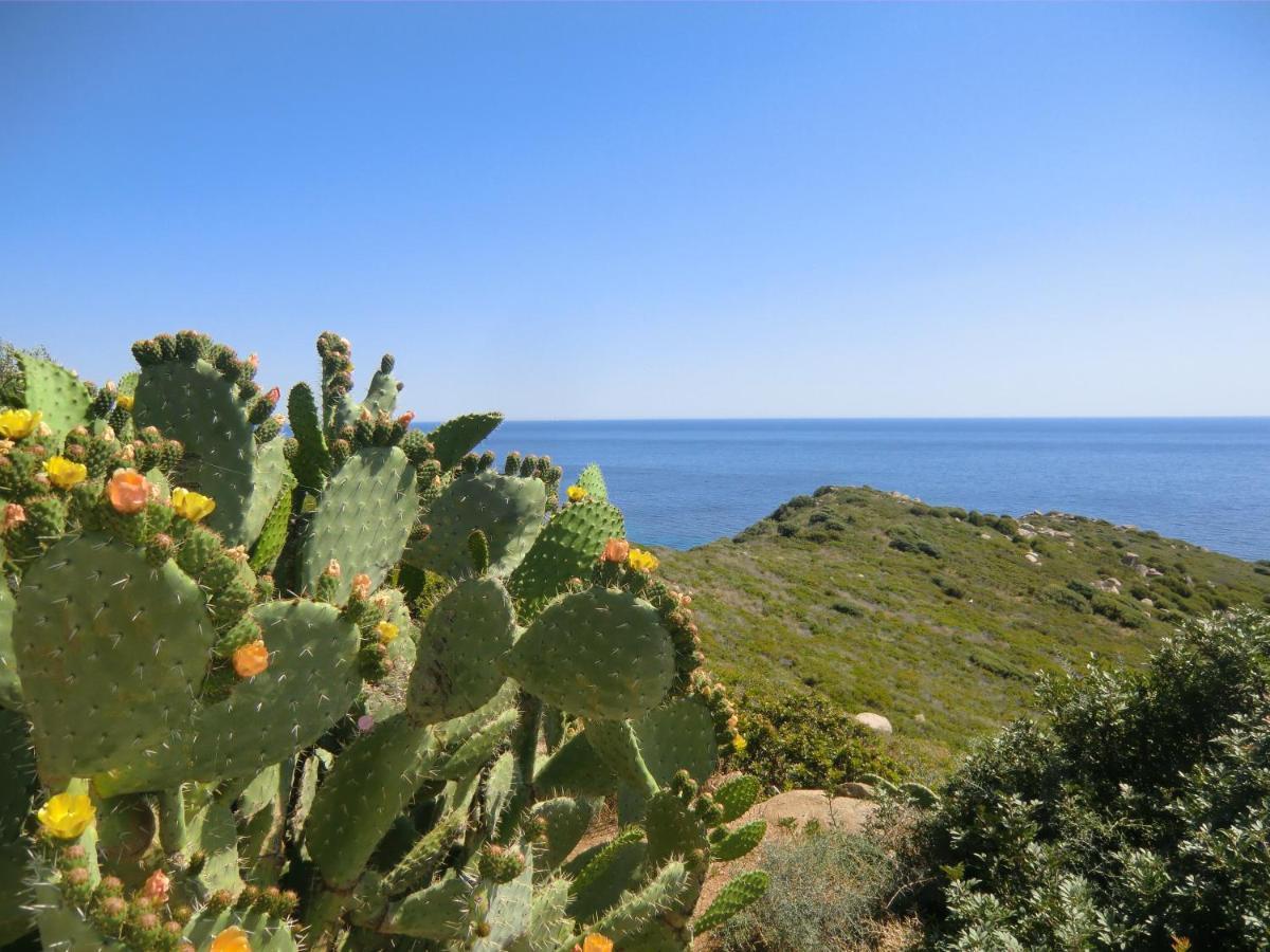 Sailing Lejlighed Cagliari Eksteriør billede